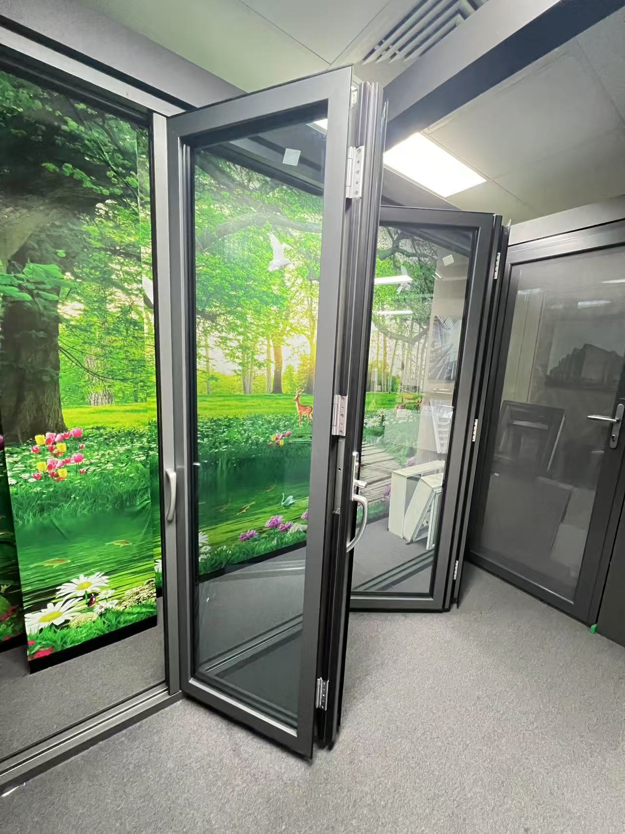 Aluminium alloy door